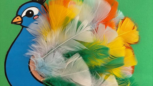 We zijn zo trots als n pauw! ๐ฆ๐คฉ